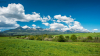 tatra_2144