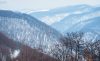 teluto_0474