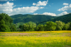 templom_2214