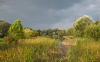 viharelott_3799