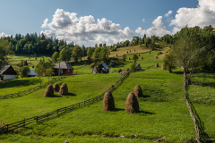 balak_k_0034