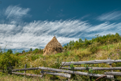 boglya_k_9081