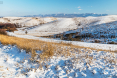 dombok_k_6906