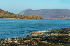 dpart_k_1544