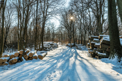 farakas_k_6748
