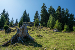 fatorzs_k_0458