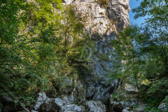 indian_k_0358