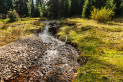 kispatak_k_1052