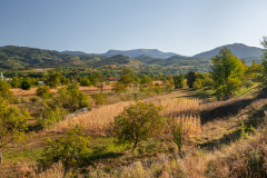 latkep_k_0209