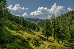 latkep_k_9959