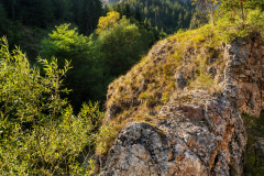 part_k_0078_r
