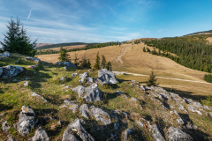 szikla2_1089