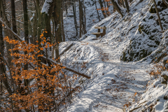teliut_6606