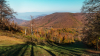 dobogoko_k_1454