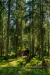 domb2_k_9814