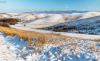 dombok_k_6906