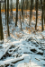 farakas_k_6679