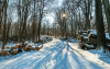 farakas_k_6748