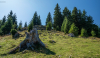 fatorzs_k_0458