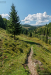 hegyoldal_k_9930