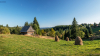 kishaz_k_0775