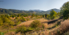 latkep_k_0209