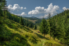 latkep_k_9959
