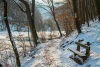 pad_k_6589
