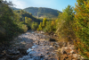 patak_k_0864