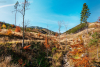 tarka_k_1231