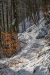 teliut_6606