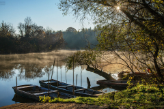 bodrog_k_7520