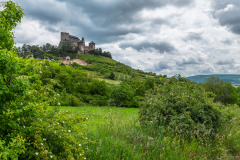 boldogko_k_4514