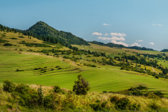 dombok_k_6829