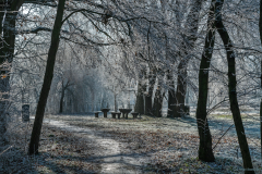 erdo_k_2035