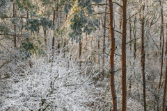 erdo_k_2423