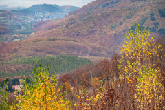 fenyek_k_7389