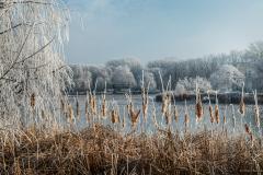 gyekeny_v_2243