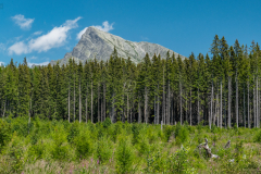 hegycsucs_k_5817