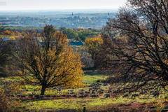 kettorony_k_7647