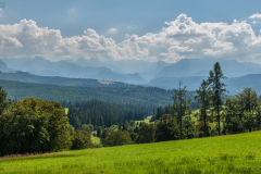 magastatra_k_6255