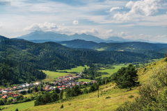 nagyharsas_k_6773