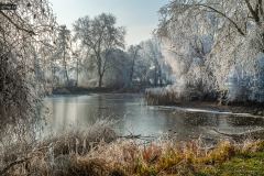 obol_k_2212