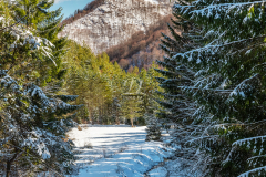 patak_k_3204