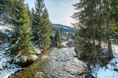 patak_k_3467