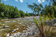 patak_k_5760