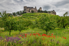 pipacs_k_4494