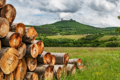 regeci_k_4545