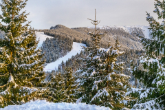 sielok_k_3580