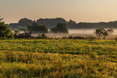 tehenek_k_5947